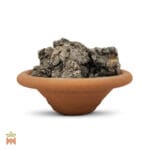 0066-0776 – Dacryoides peruviana – Peru, resin_B