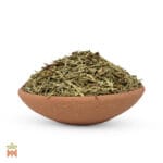 0280-0483 – Libocedrus decurrens – leaves, cut_B