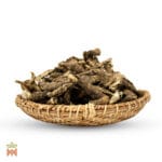 0285-2262 – Ligusticum porteri – root whole_C Osha (Ligusticum Porteri) - Whole Root from Mexico