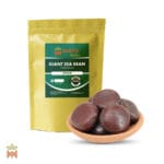 1459-3960 – Entada Rheedii – beans, whole Giant Sea Bean (Entada Rheedii) - Snuff Box Whole Seed from Thailand